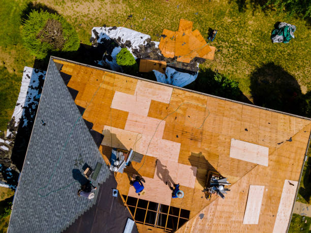 Best Roof Gutter Cleaning  in Denham Springs, LA